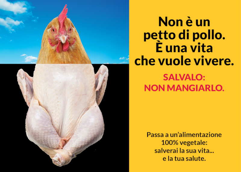 Adesivo Non è un petto di pollo