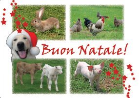 Volantino 'Buon Natale'