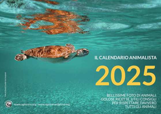 Calendario AgireOra 2025 da scrivania