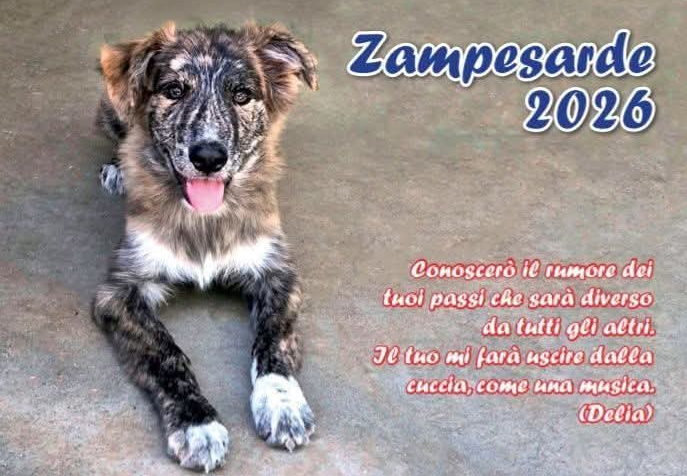 CANEndario Zampesarde