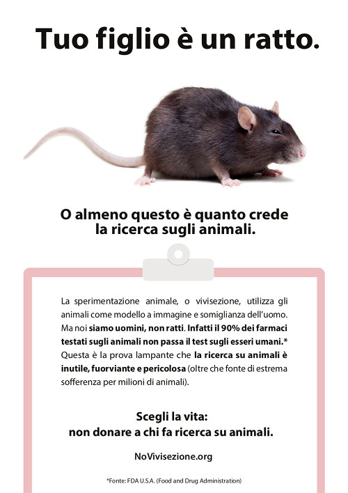 Tuo figlio è un ratto