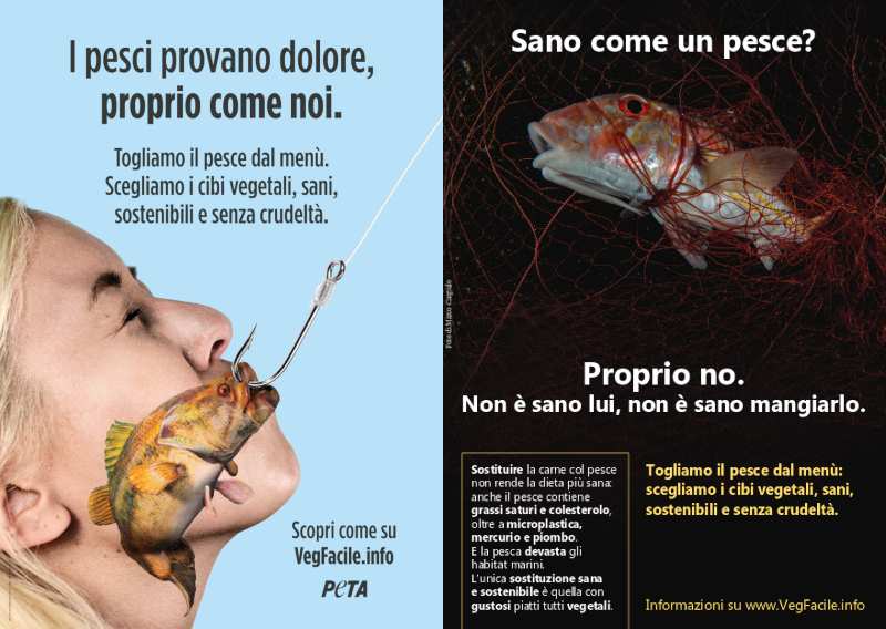 Due campagne per aiutare i pesci