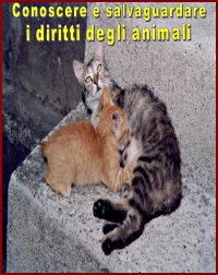 Conoscere e salvaguardare i diritti degli animali