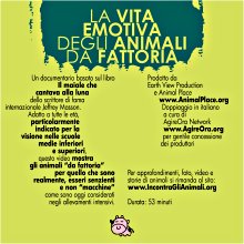 DVD - La vita emotiva degli animali da fattoria