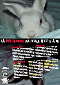 Locandina 'La vivisezione fa male a lui e a te'