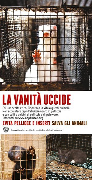 La vanità uccide