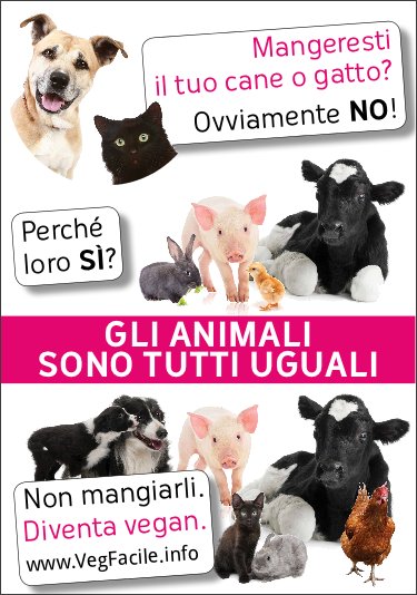 Gli animali sono tutti uguali