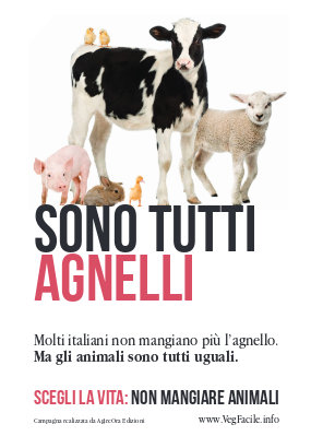 Sono tutti agnelli (verticale)