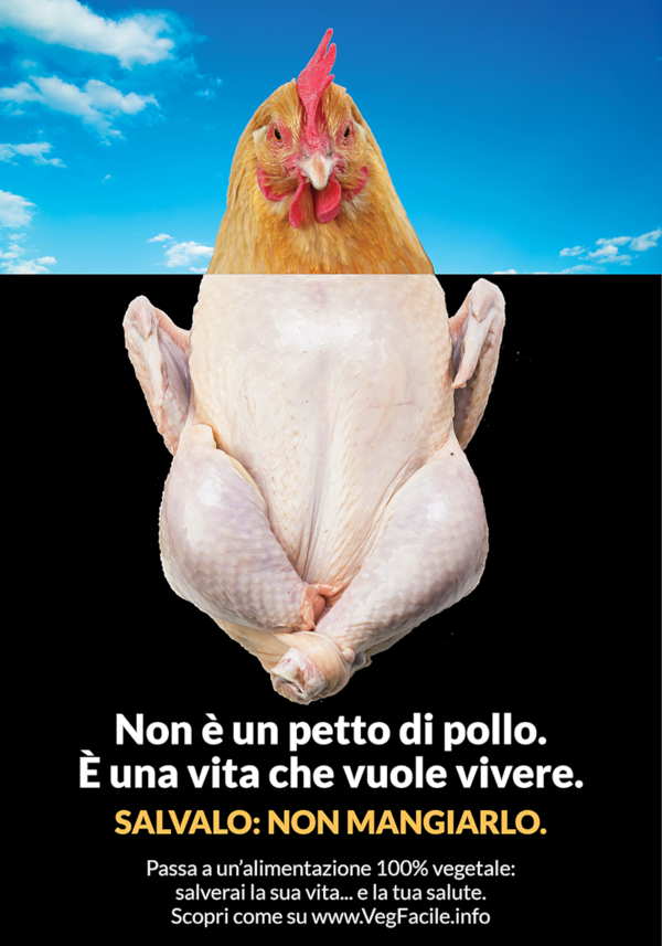 Non è un petto di pollo, è una vita che vuole vivere