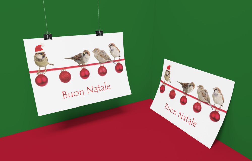 Pacchetto per l'evento Giornata Internazionale per i Diritti Animali