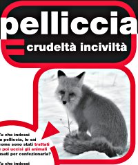 Pelliccia = crudelta', incivilta'