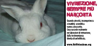 Vivisezione, sempre piu' nascosta