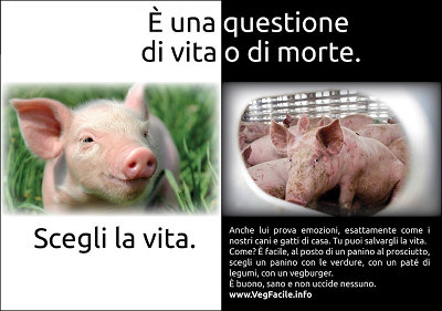 E' una questione di vita o di morte