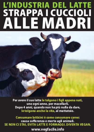 Volantino contro l'industria del latte