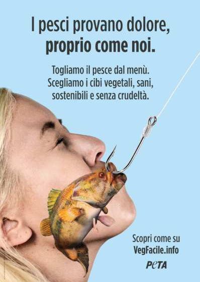 Volantino: 5 motivi per non mangiare pesce